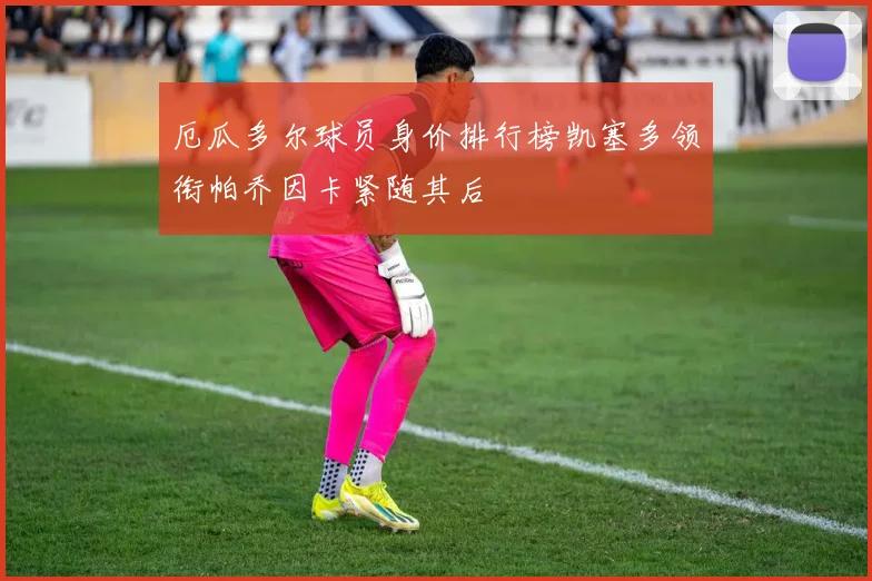 厄瓜多尔球员身价排行榜凯塞多领衔帕乔因卡紧随其后
