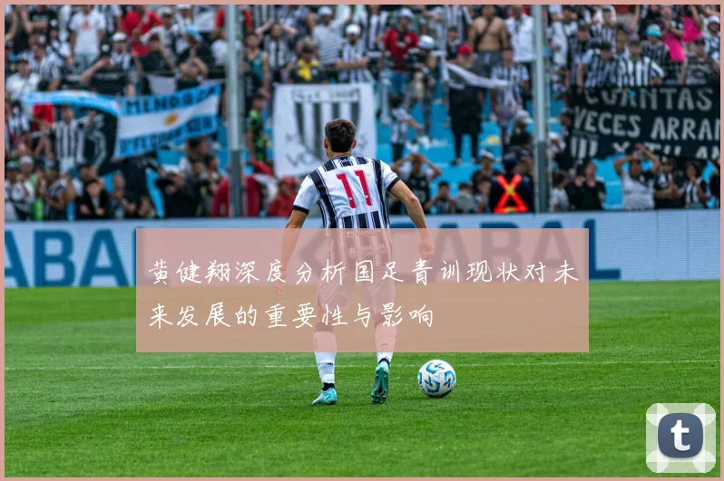 黄健翔深度分析国足青训现状对未来发展的重要性与影响